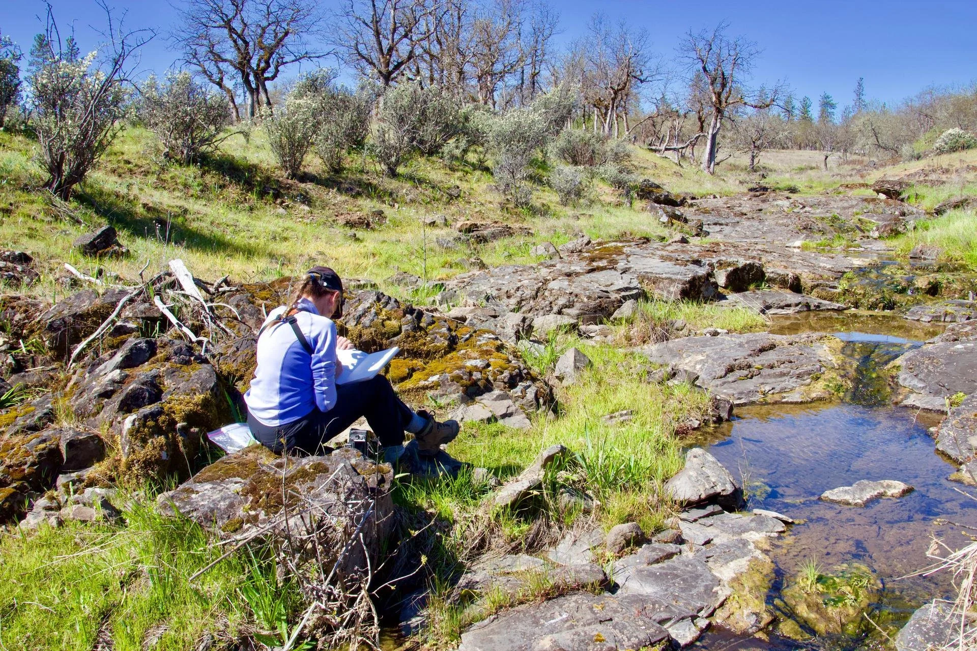 Spring Into Nature Journaling for All Ages (Day 1)
