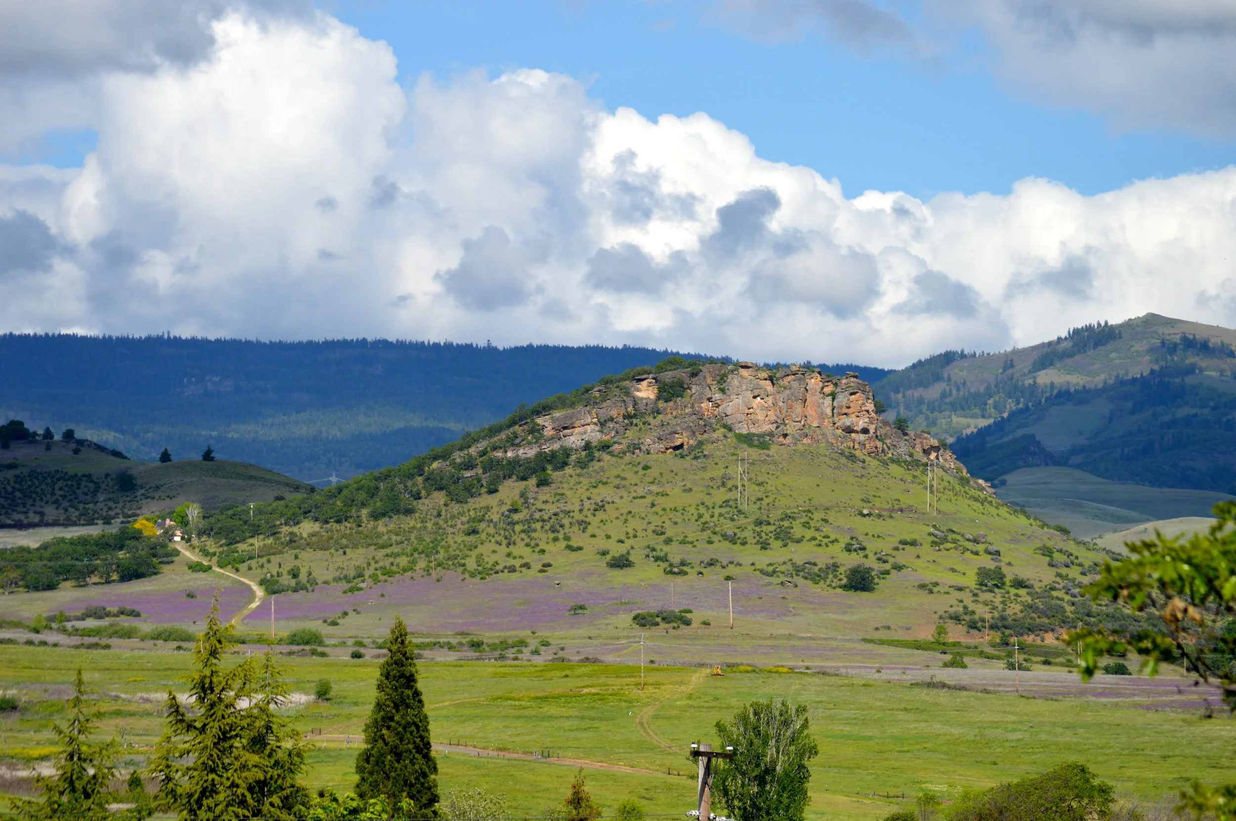 Explore The Bluff (May 4)