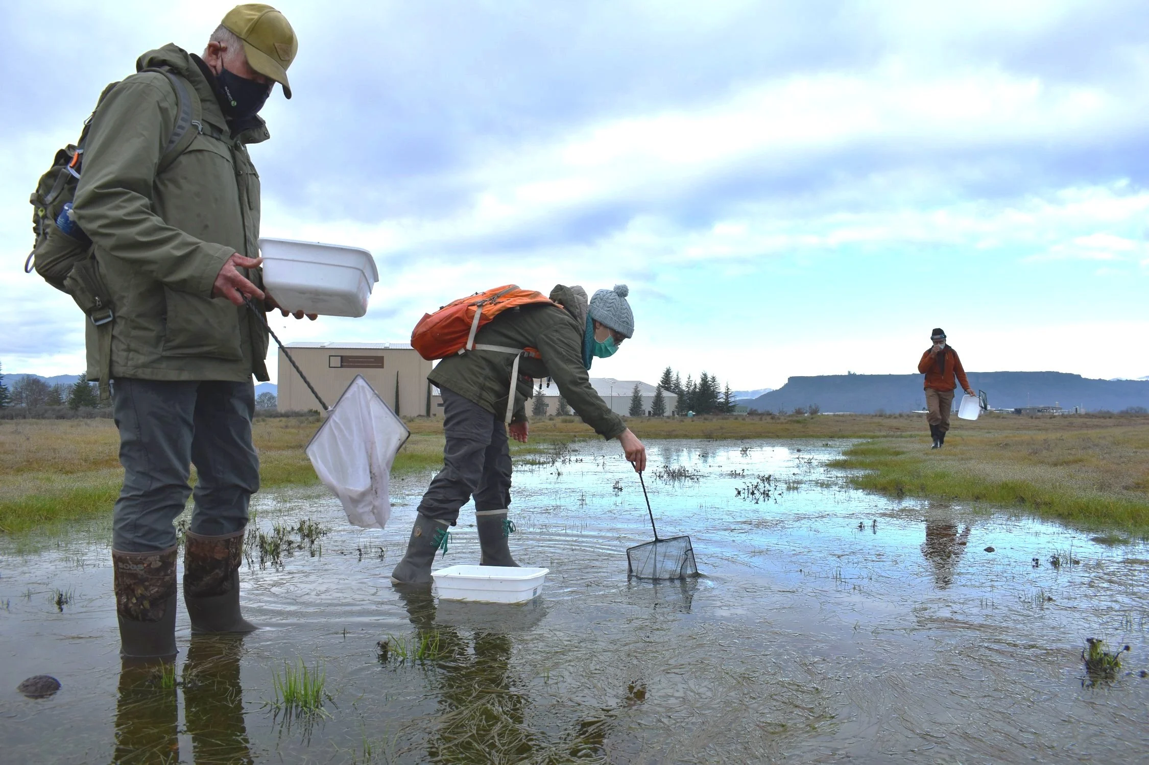 Two Land Trusts, Three Preserves and a New Stewardship Legacy