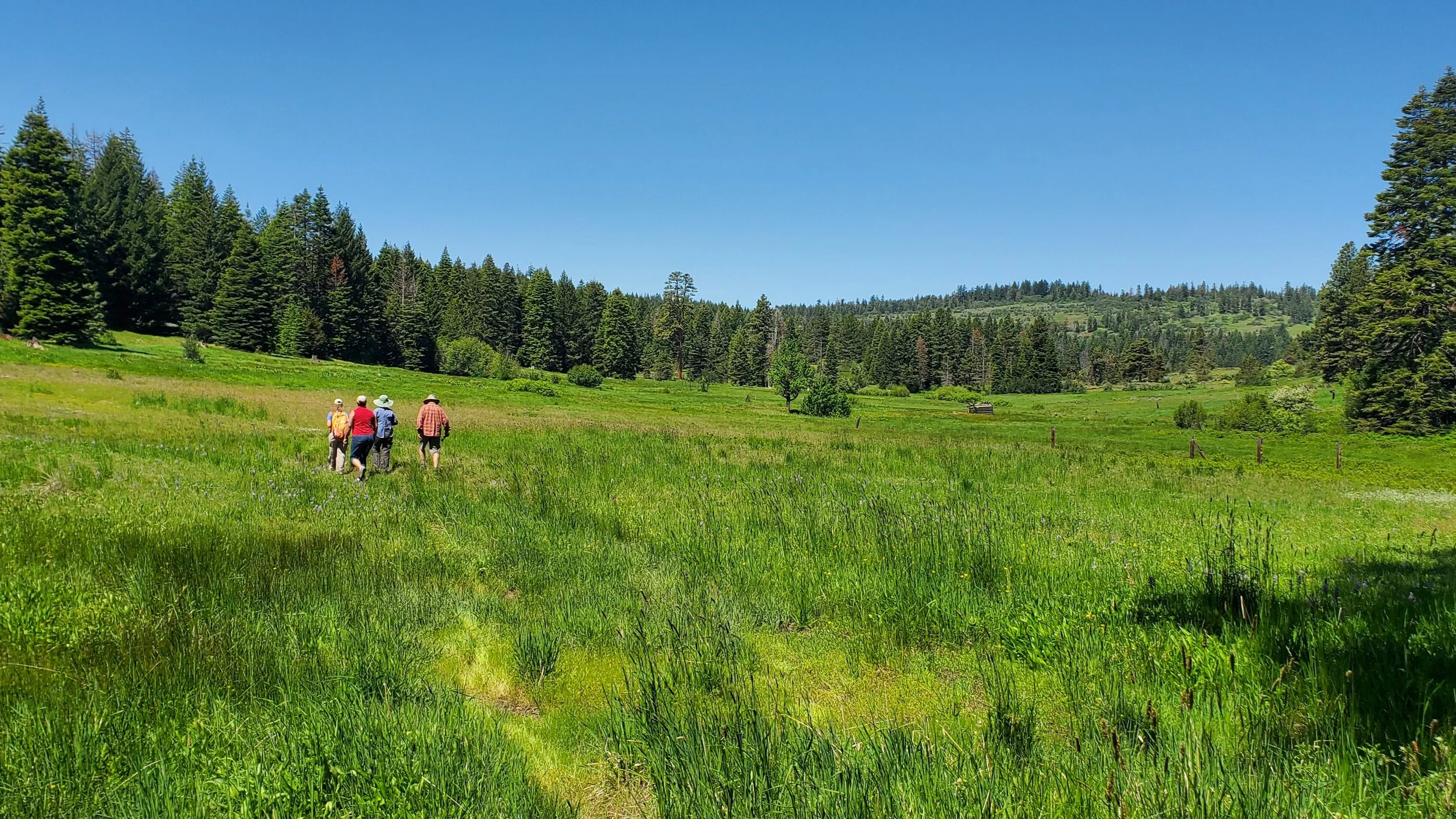 Landmark, Legacy, and Life Member Event