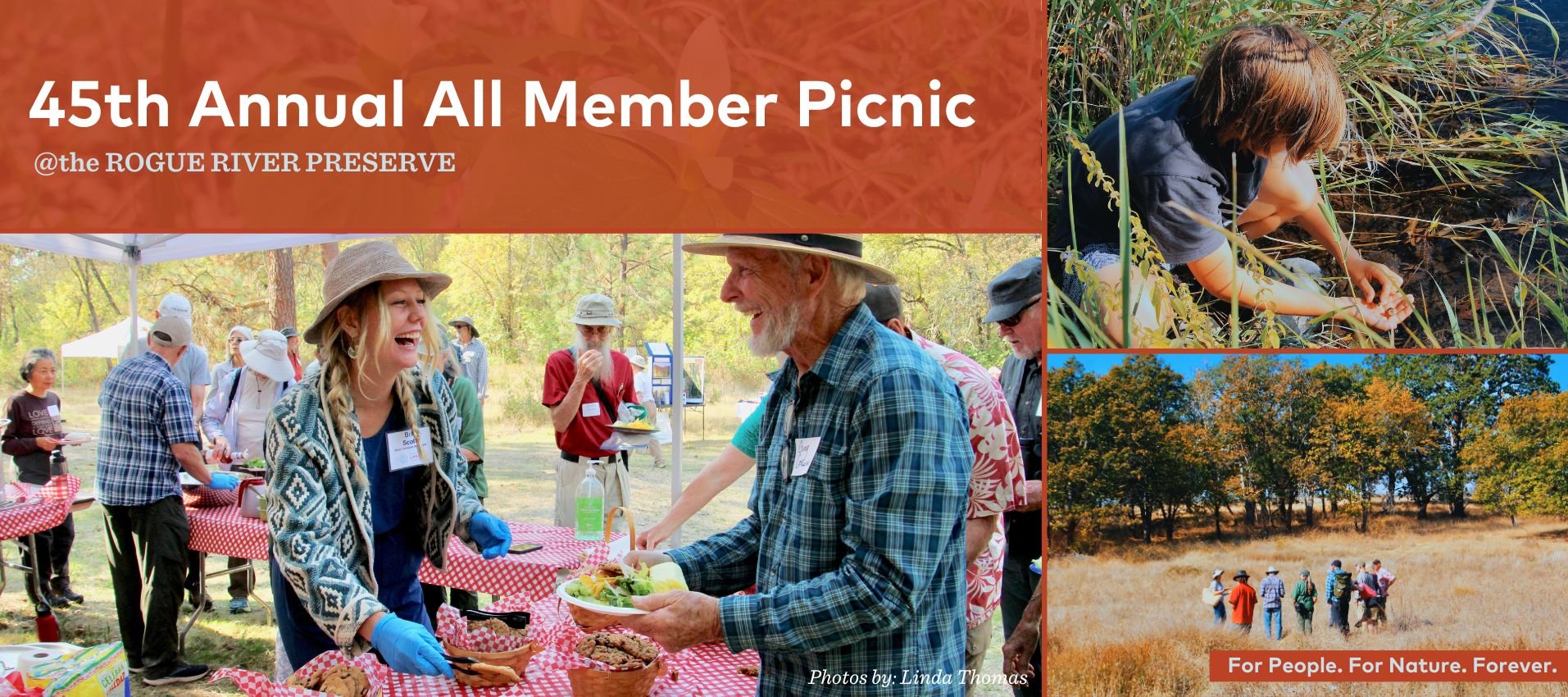 Annual All Member Picnic