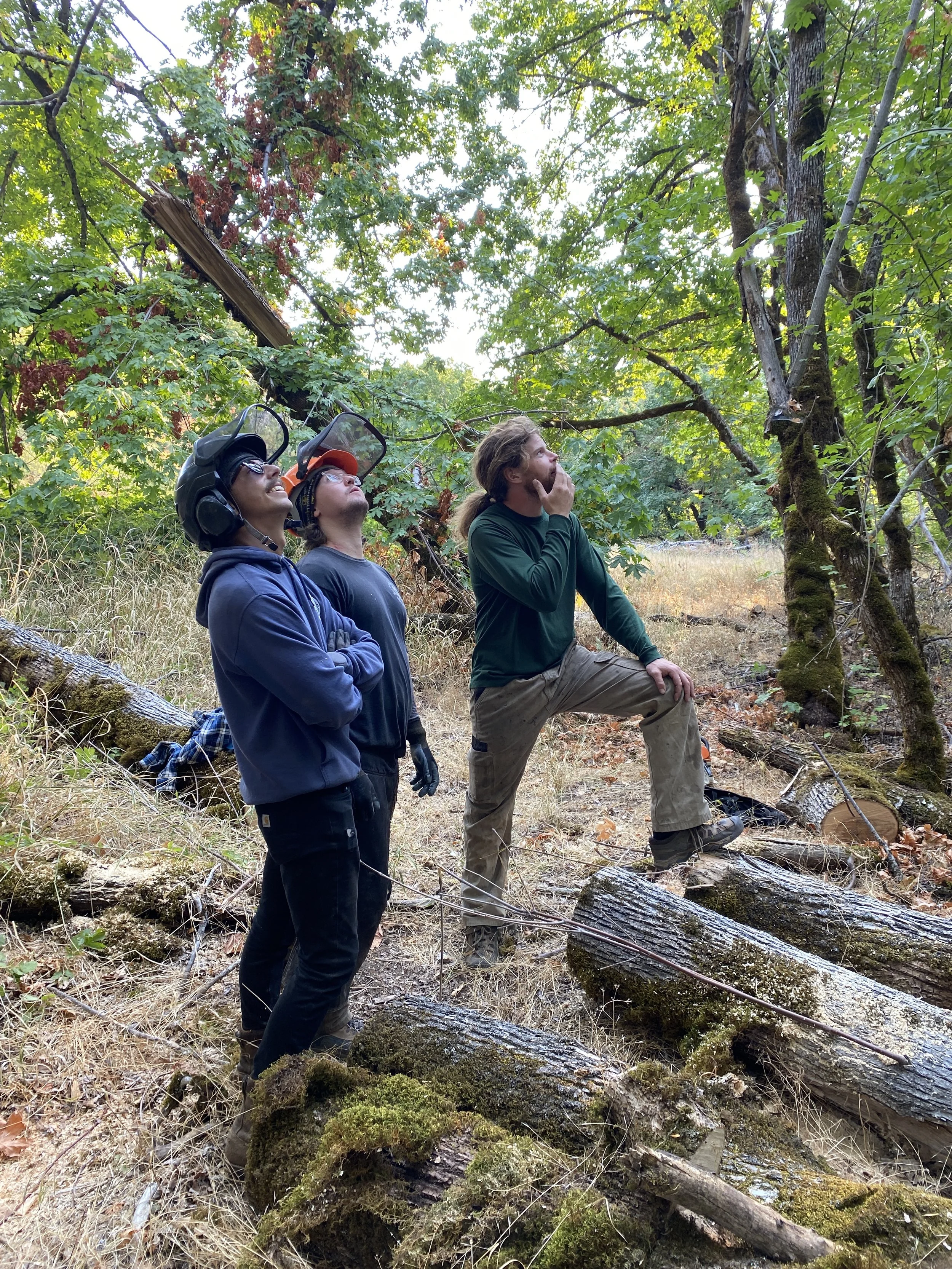 Canopy Tree Volunteers Help SOLC Fall Trail Hazards