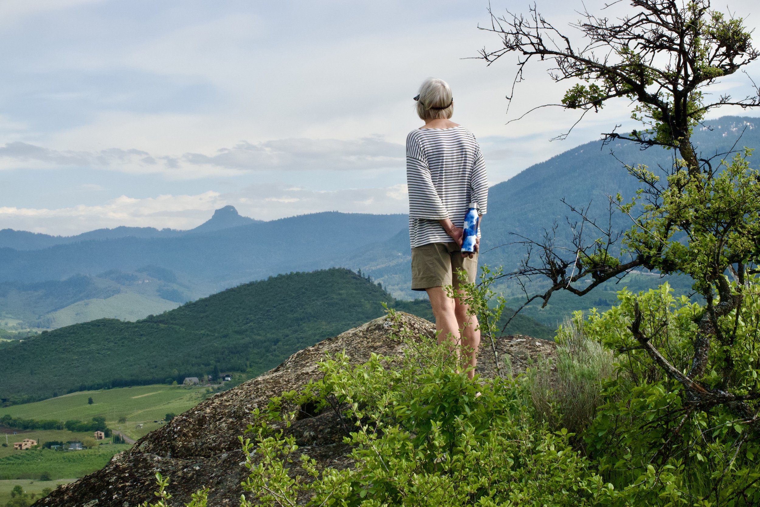 Explore the Bluff!