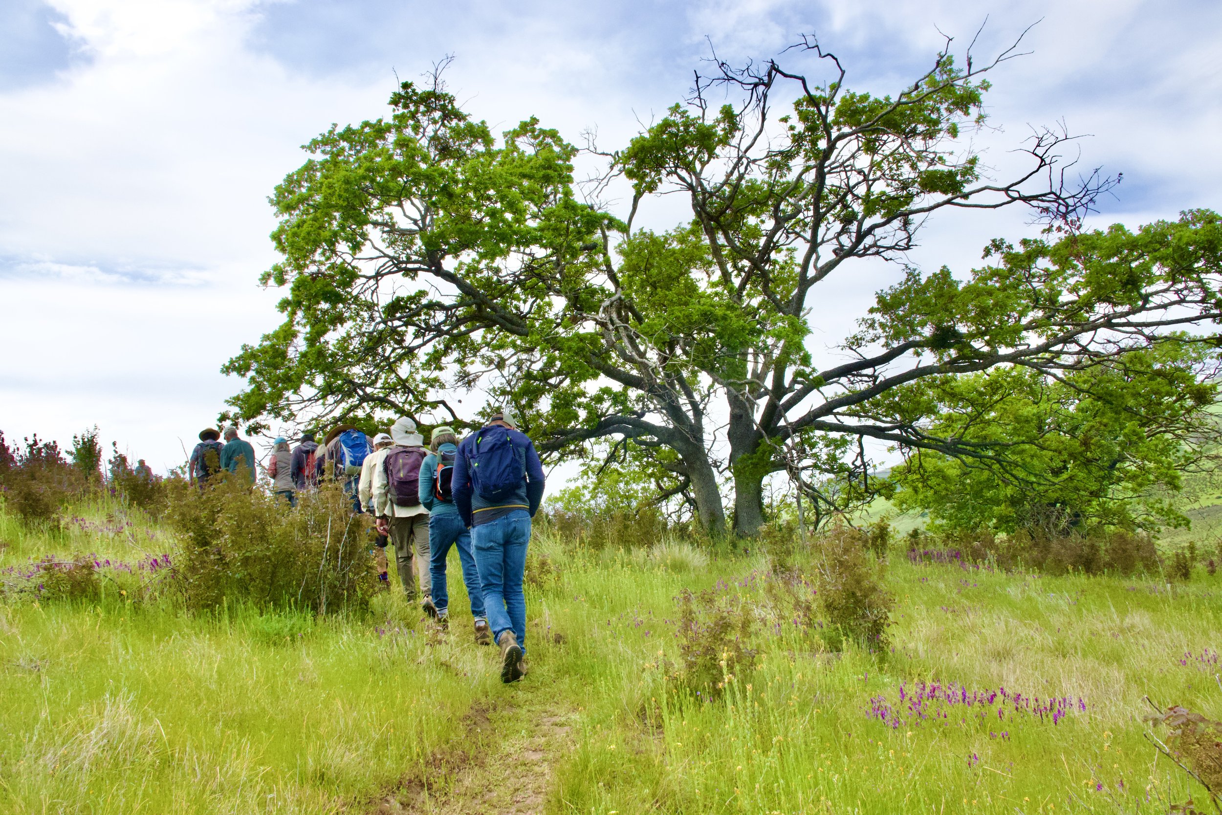Explore the Bluff!