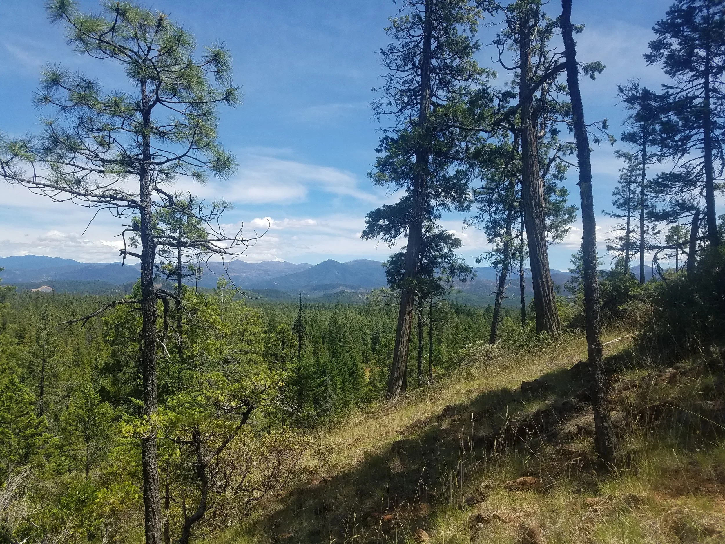 Illinois Valley Hike