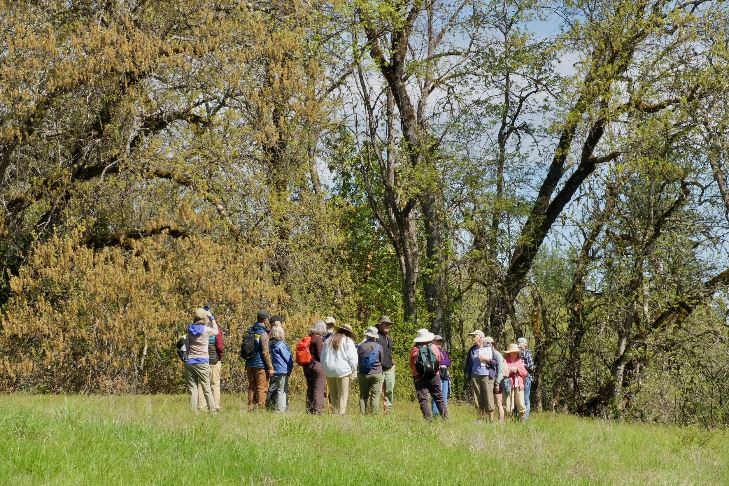 Open Lands Day at the Rogue River Preserve