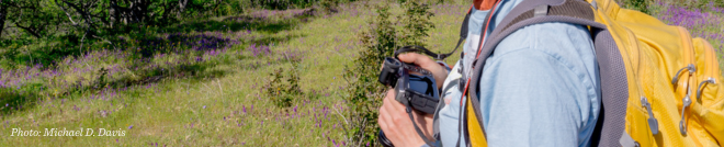Join SOLC's Volunteer Bird Surveyors