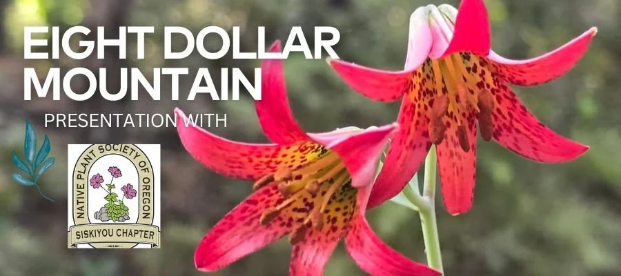 SCNPSO Program on Eight Dollar Mountain