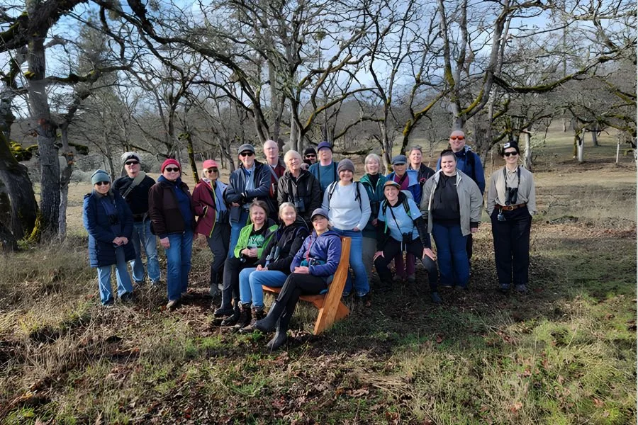 Cuckoos Looking For Cuckoos