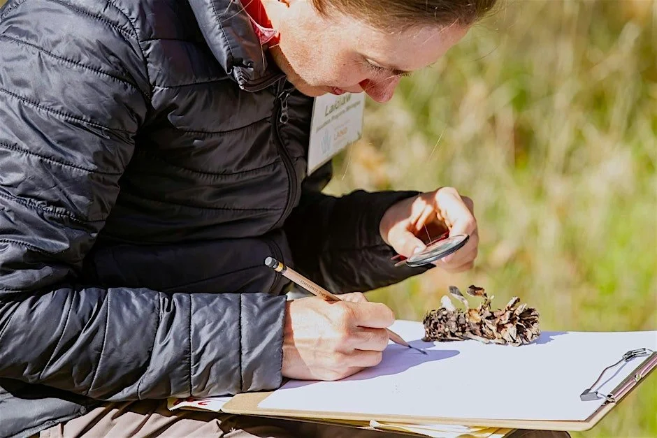Nature Journaling on the Valley Floor
