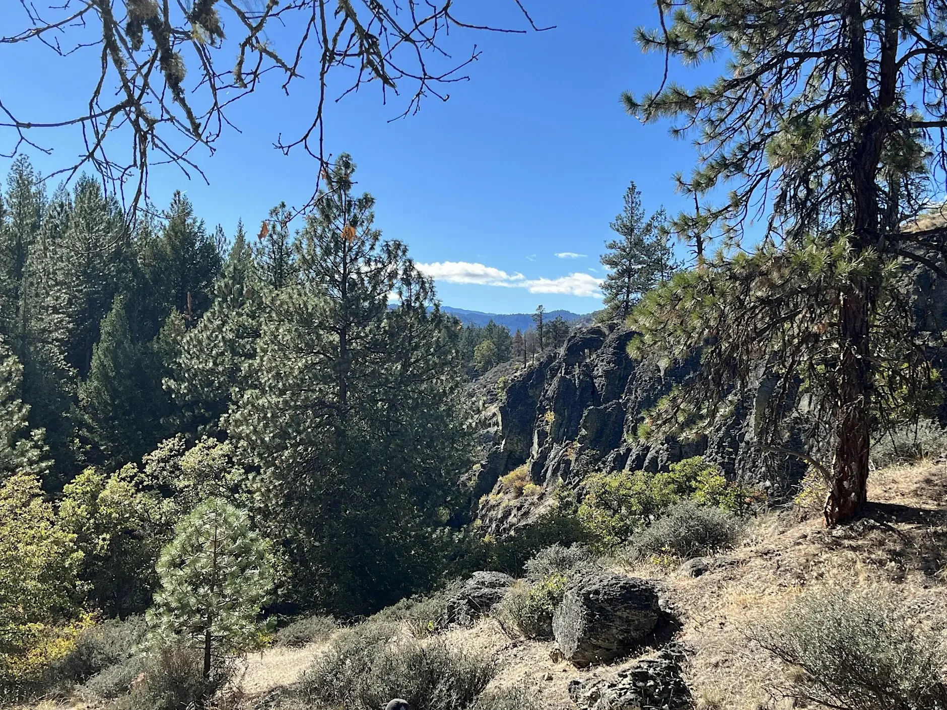 Bear Gulch Preserve Adventure Hike