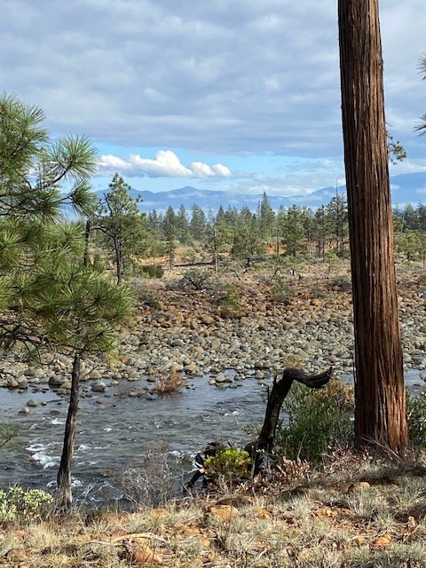 Rough and Ready Creek Preserve