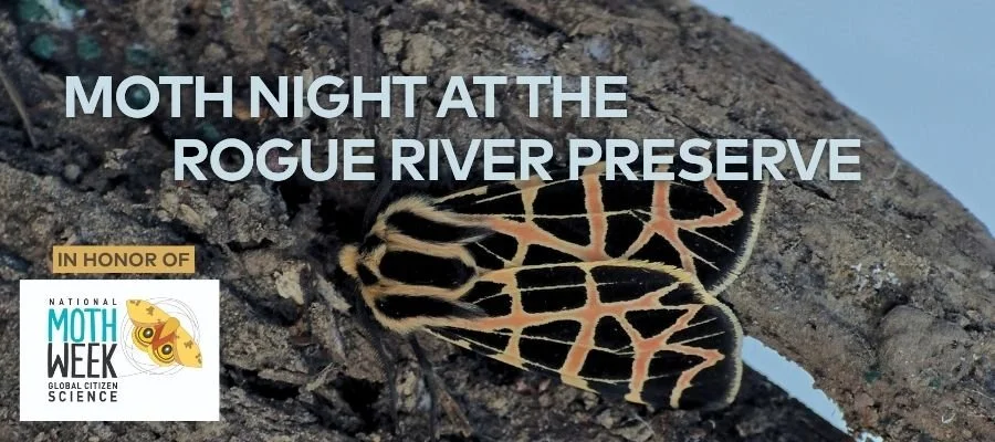 Moth Night at the Rogue River Preserve