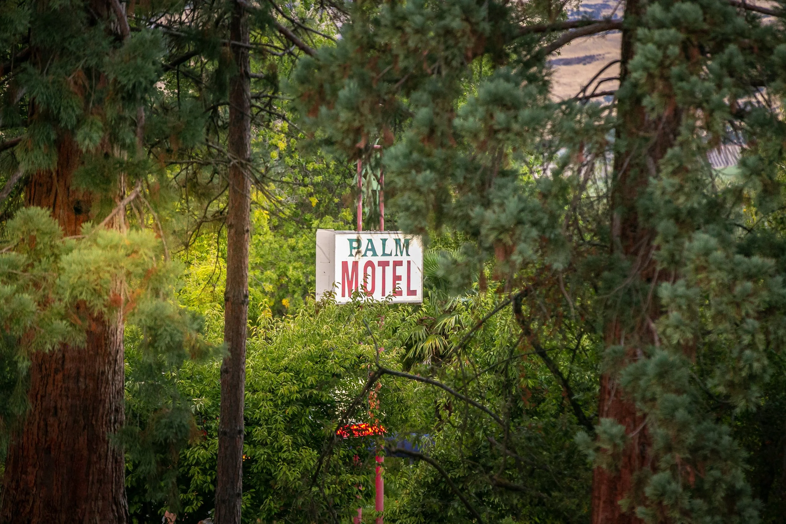 6H6A2157-steven-addington-photography.jpg