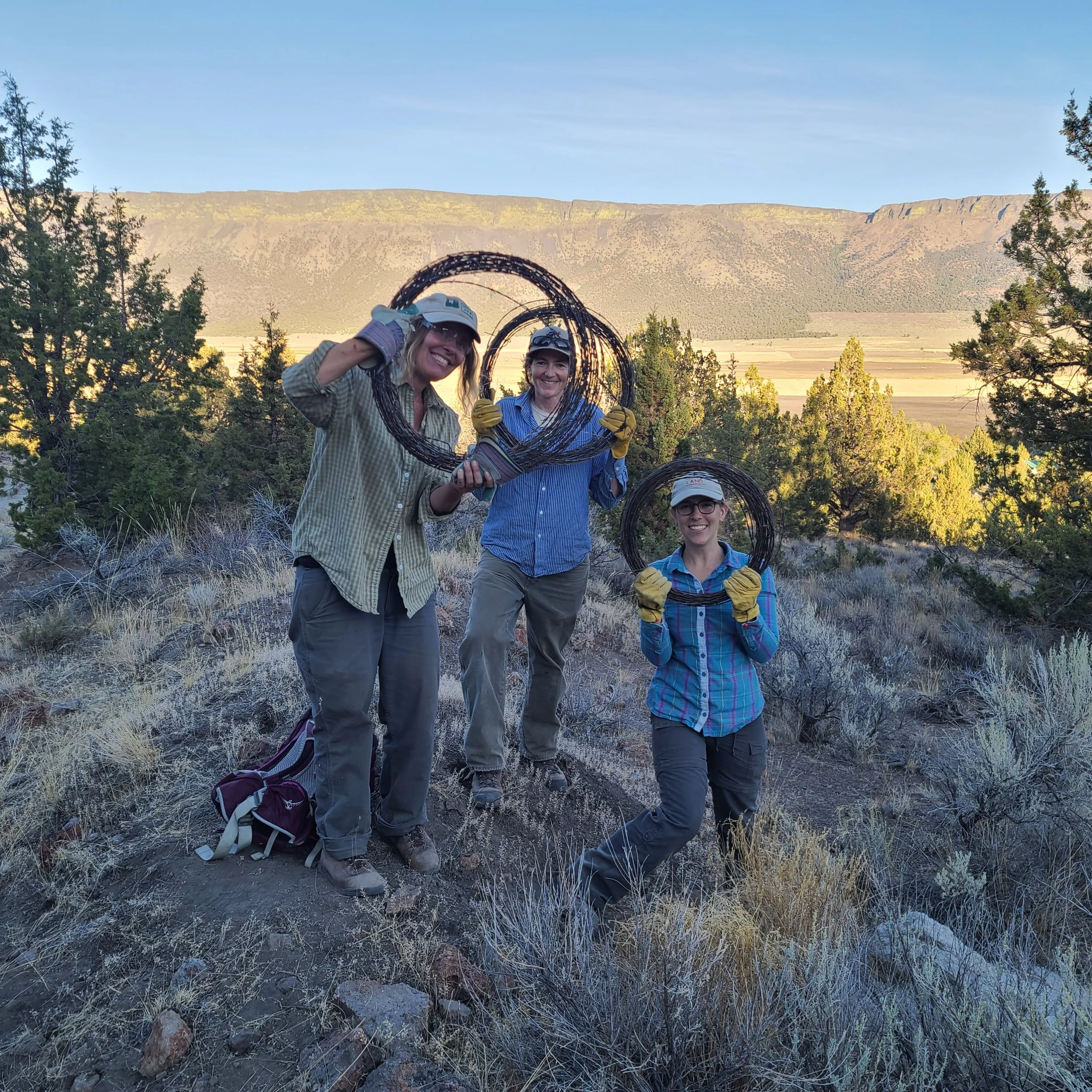 Weekend Work Party at Whetstone Savanna Preserve!