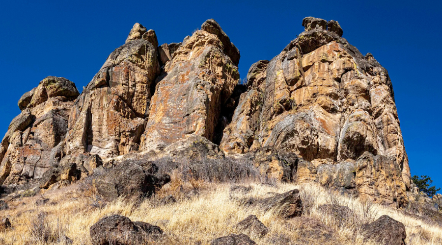 History and Natural History of the Bluff