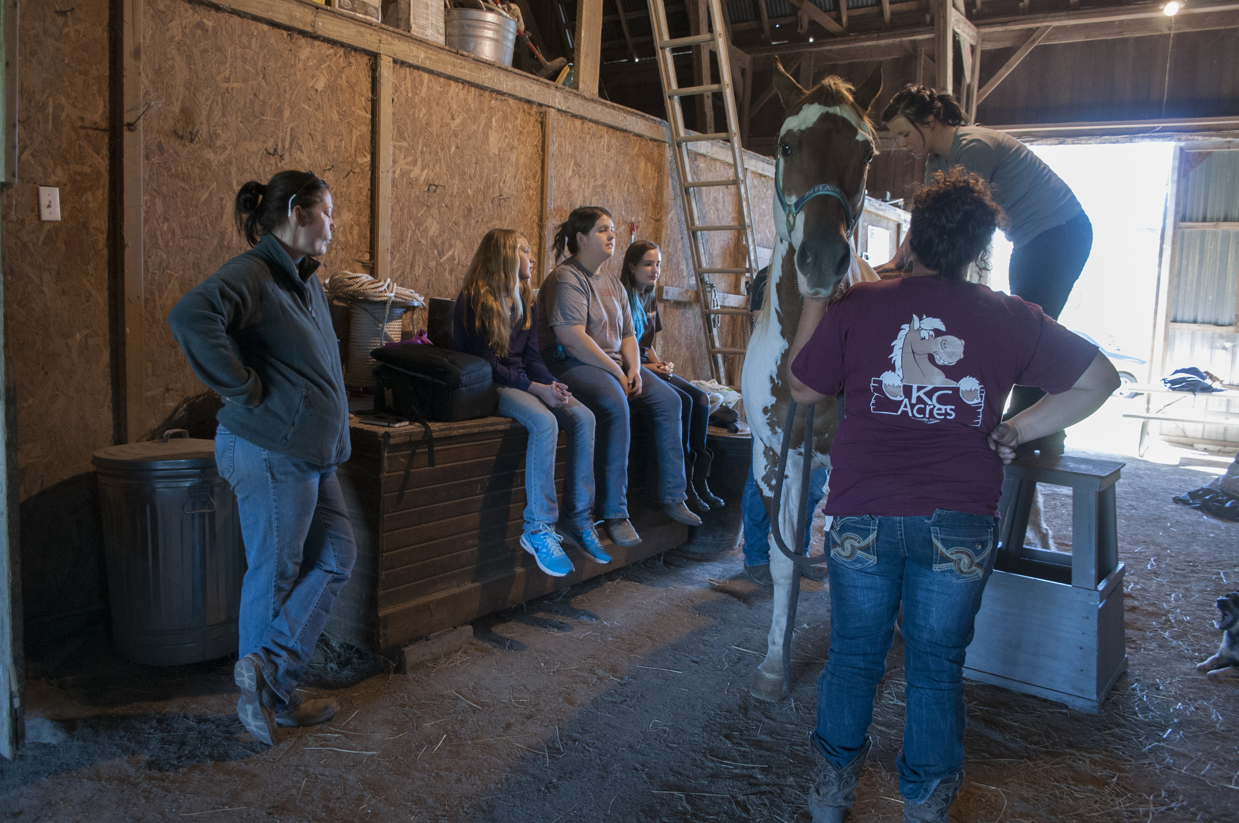 From left to right, Tammy Tiedtke, Peyton Tiedtke, Julia Litmer, Kailey Dean, and Corey Richardson watch as chiropractor Deanna Milhoan checks Wildfire’s spine. Wildfire needed his pelvis realigned after competing in a showmanship race with Dean on