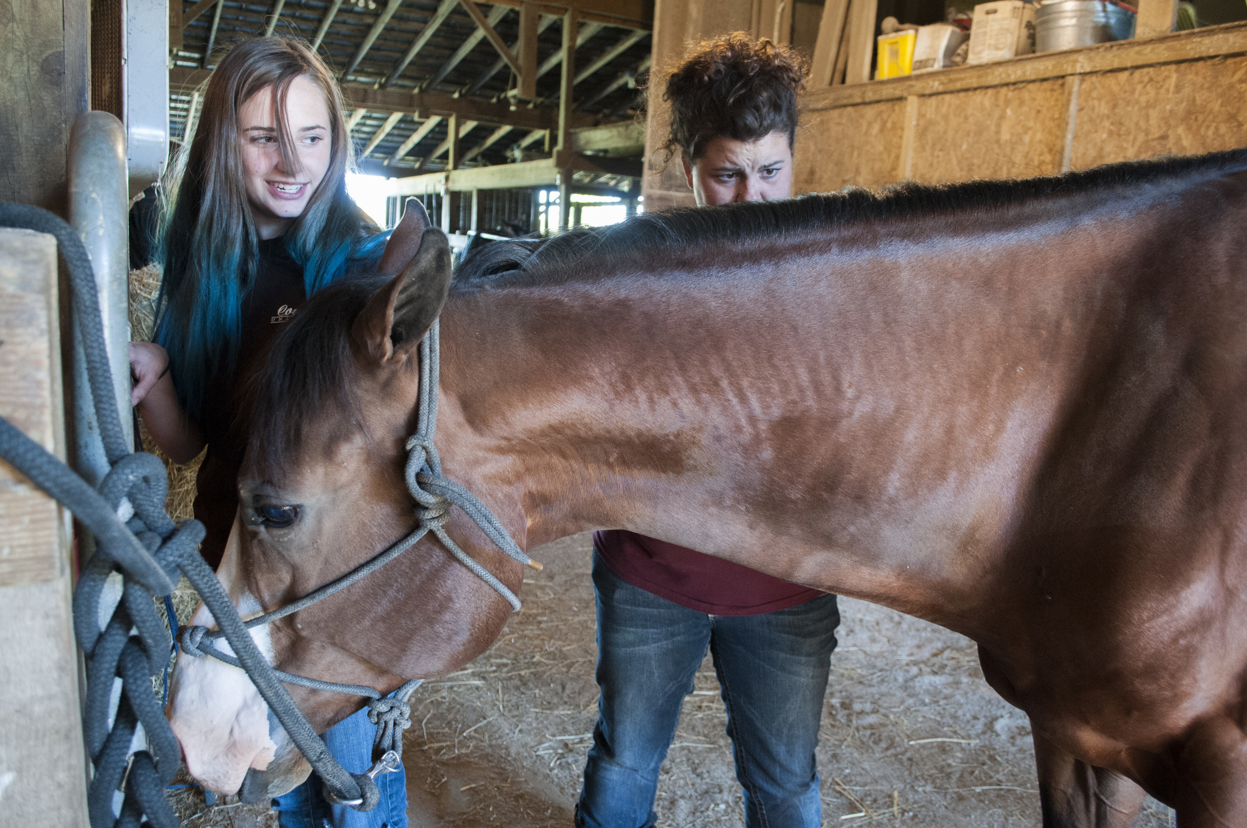 Kailey Dean, left, and Corey Richardson, right, trims the mane of Richardson’s horse, Switch. Dean was given the job to distract the horse and prevent him from moving too much. Richardson told Dean, “If my horse looks jacked up, I’ll cut your hair t