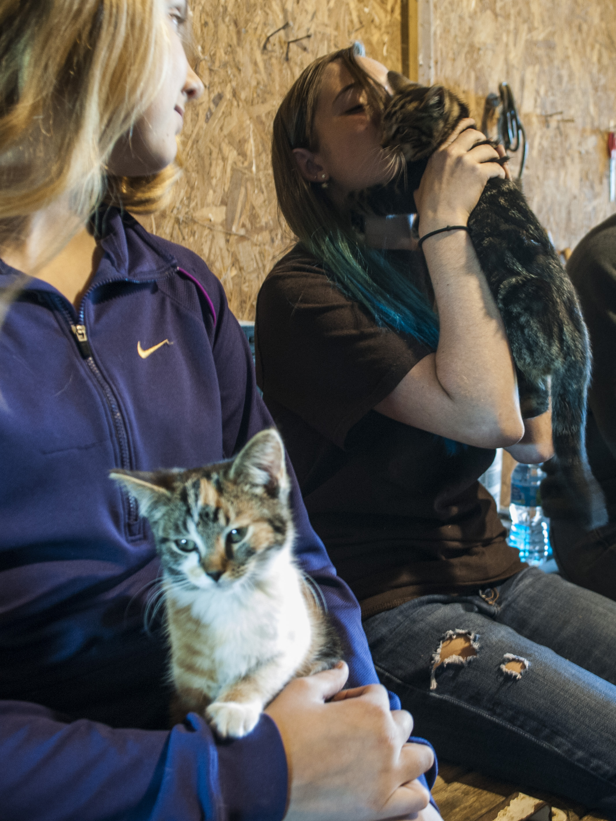Peyton Tiedtke, left, and Kailey Dean, right, play with the two of the four kittens that live in the barn. Dean tried to calm her kitten that was swatting and playing with the girls’ long hair (Sept. 23, 2014). 