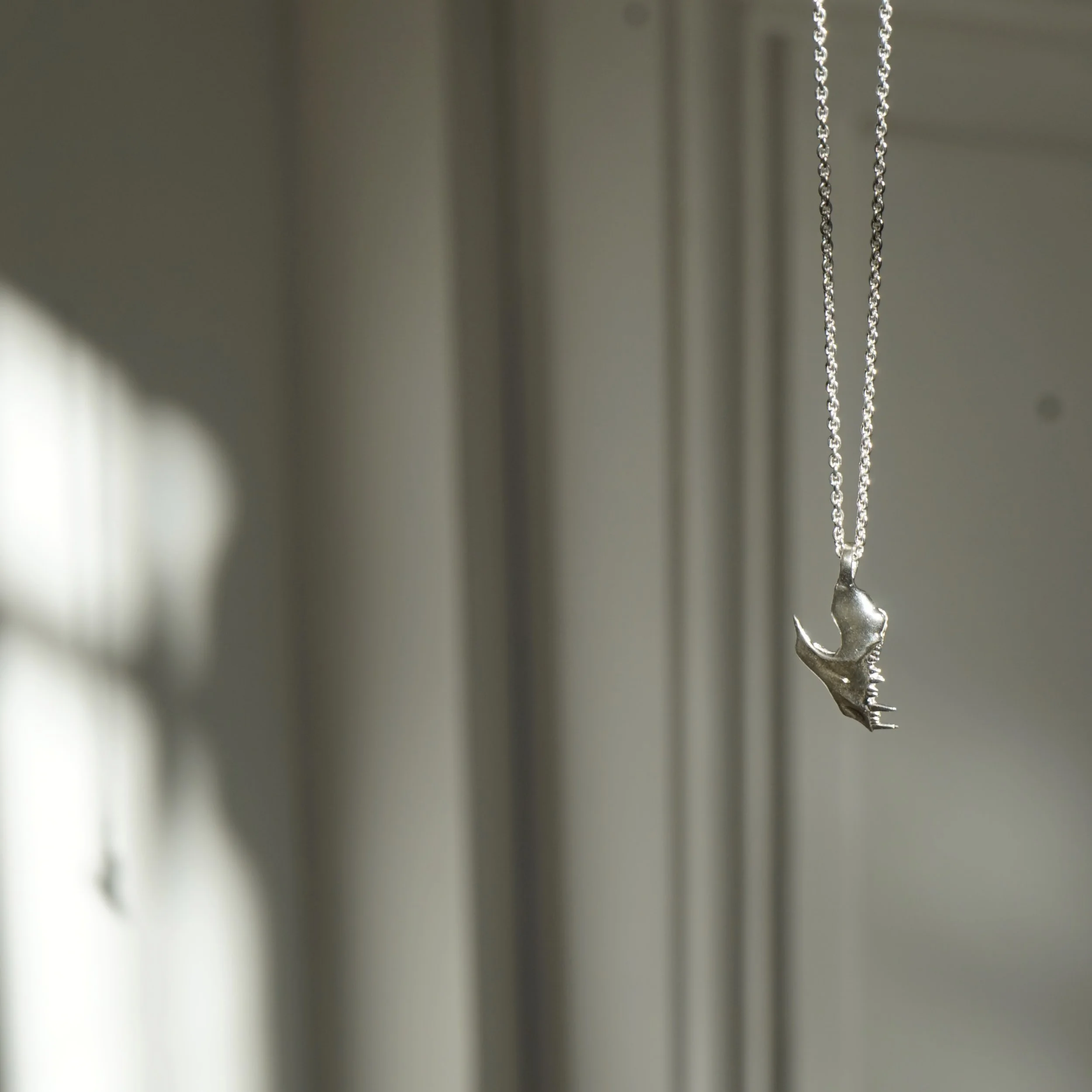 B5C56F2E-CC14-442E-9BE5-FEFA9C3A29CE