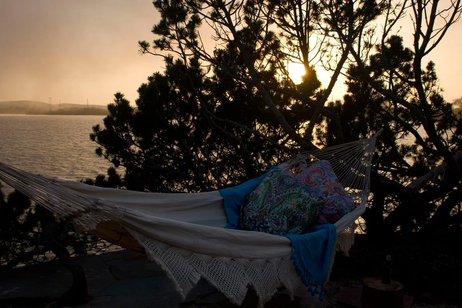 Hammock.jpg
