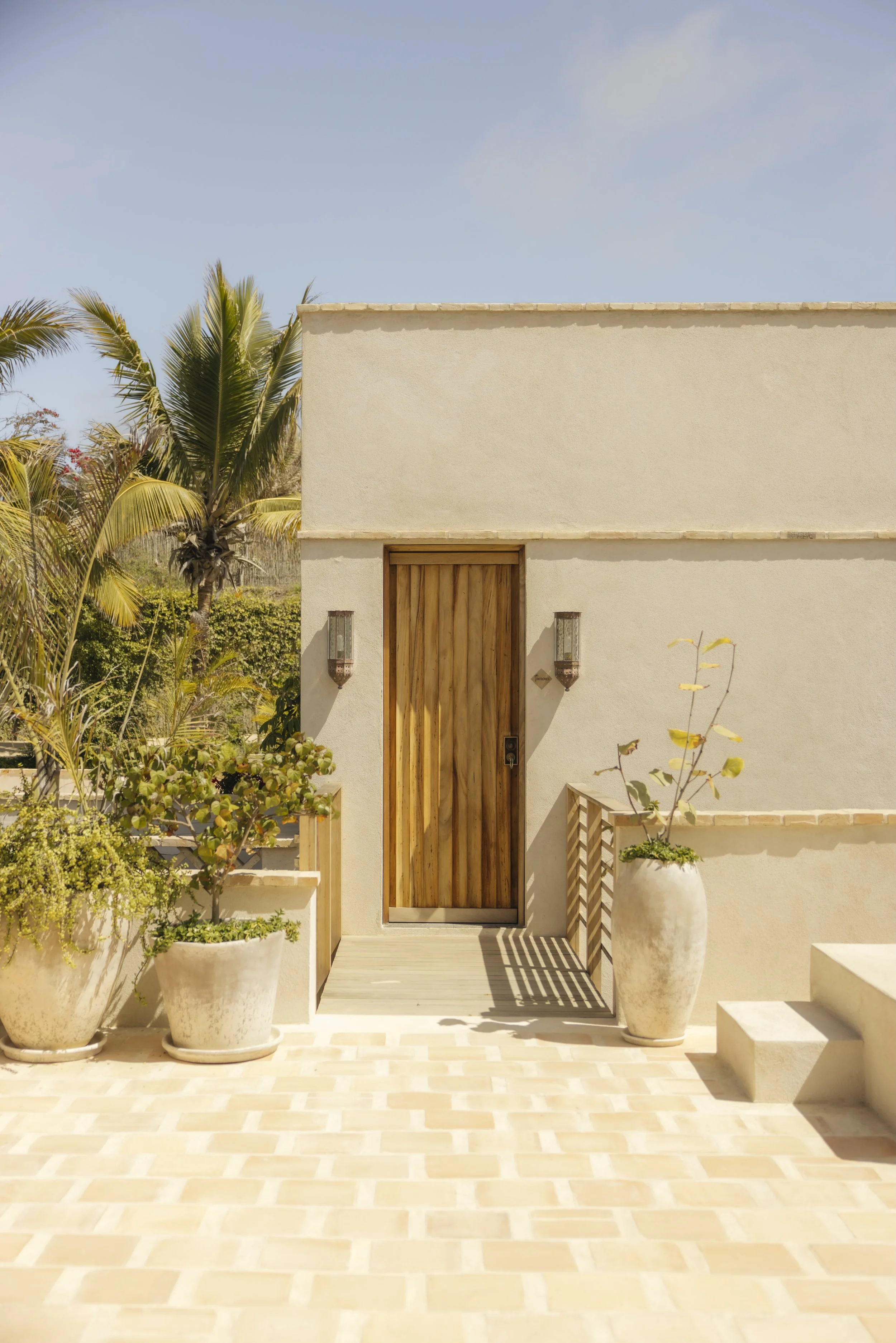 PALM_ORCHARD_HOUSE_CUARTO_PATRONES_3913.jpg
