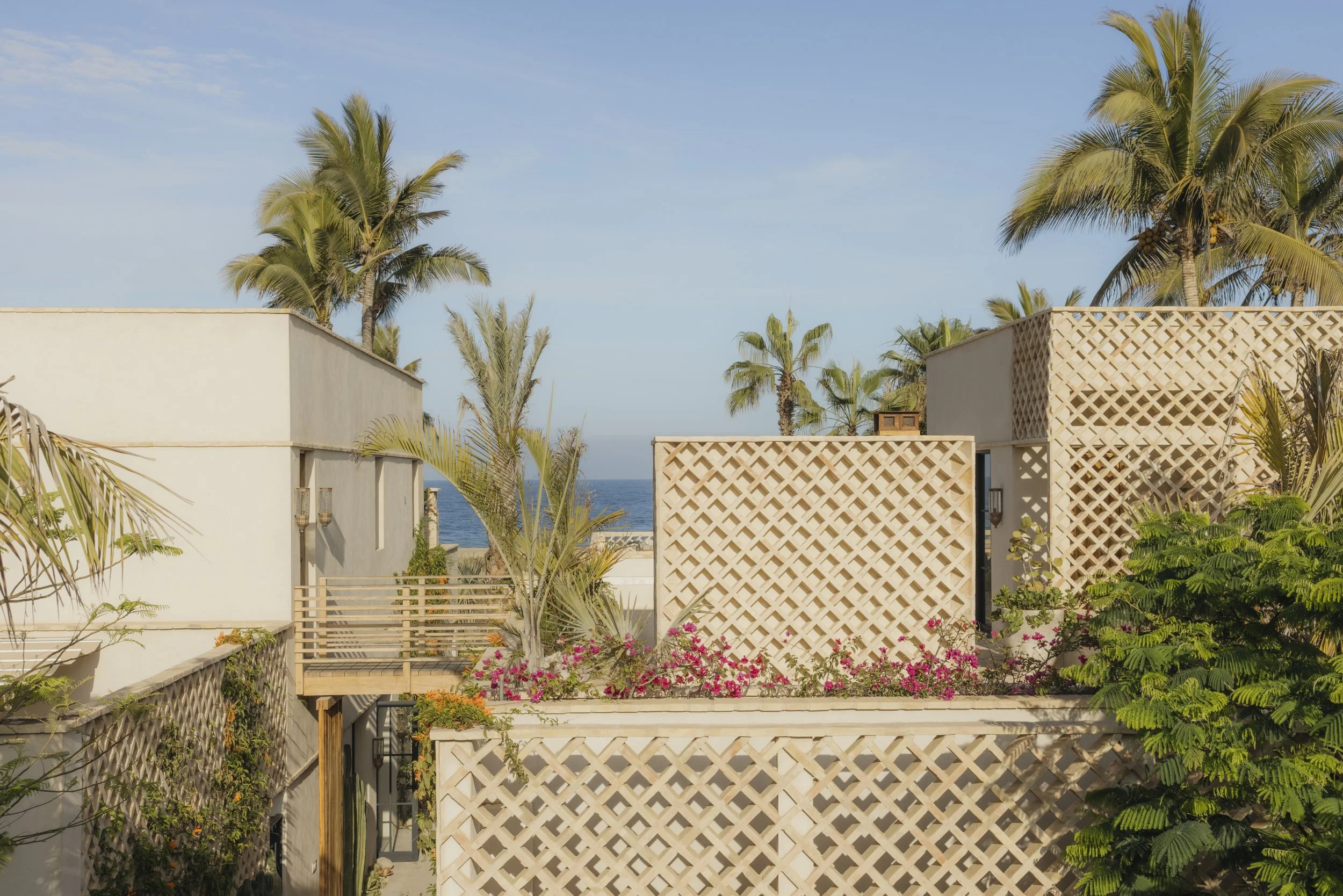 PALM_ORCHARD_HOUSE_HANDHELD_DAY_2_7483.jpg