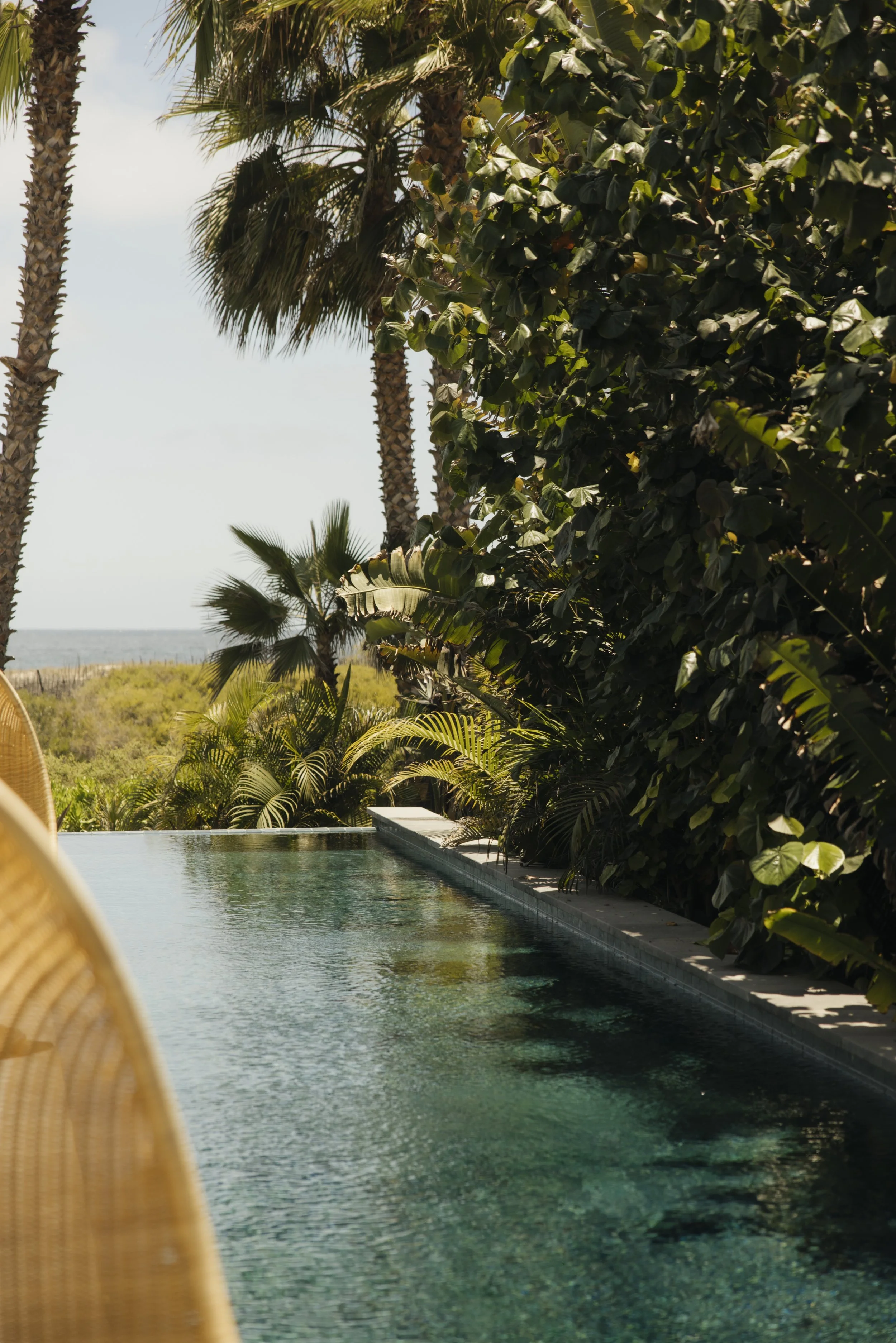 PALM_ORCHARD_HOUSE_TERRACE_6373.jpg