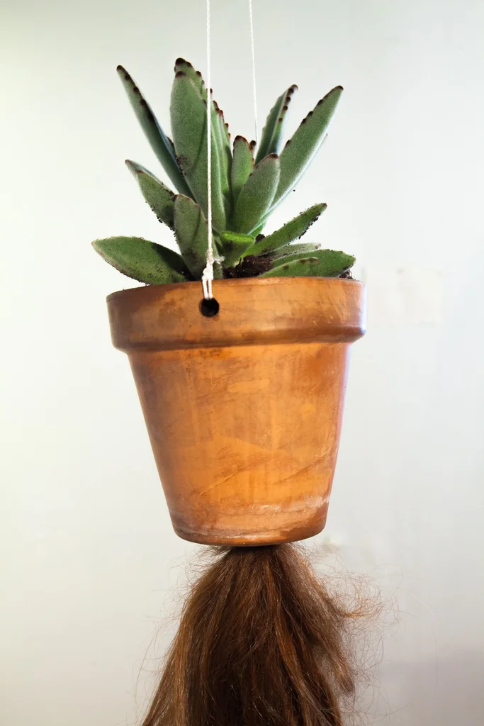 2015_09_16_8714_e+e_land-punk_installation-view.jpg