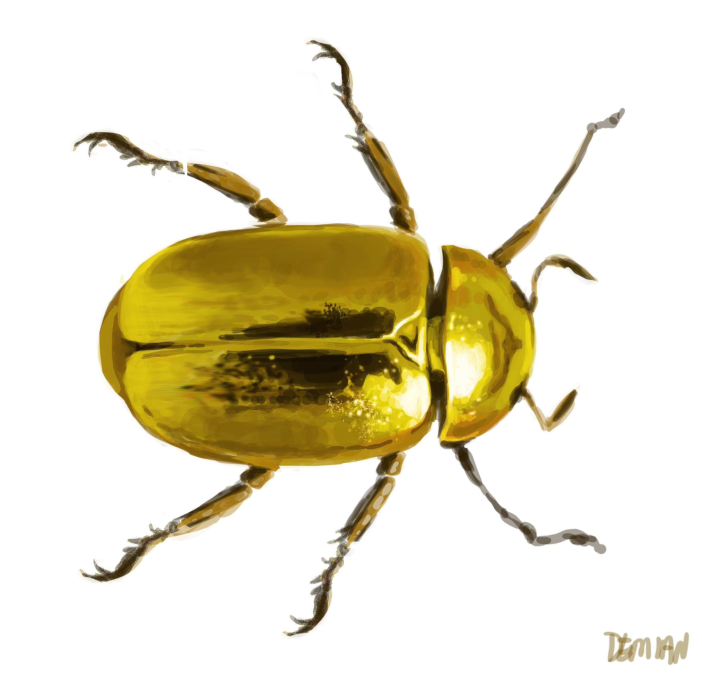 Gold Beetle