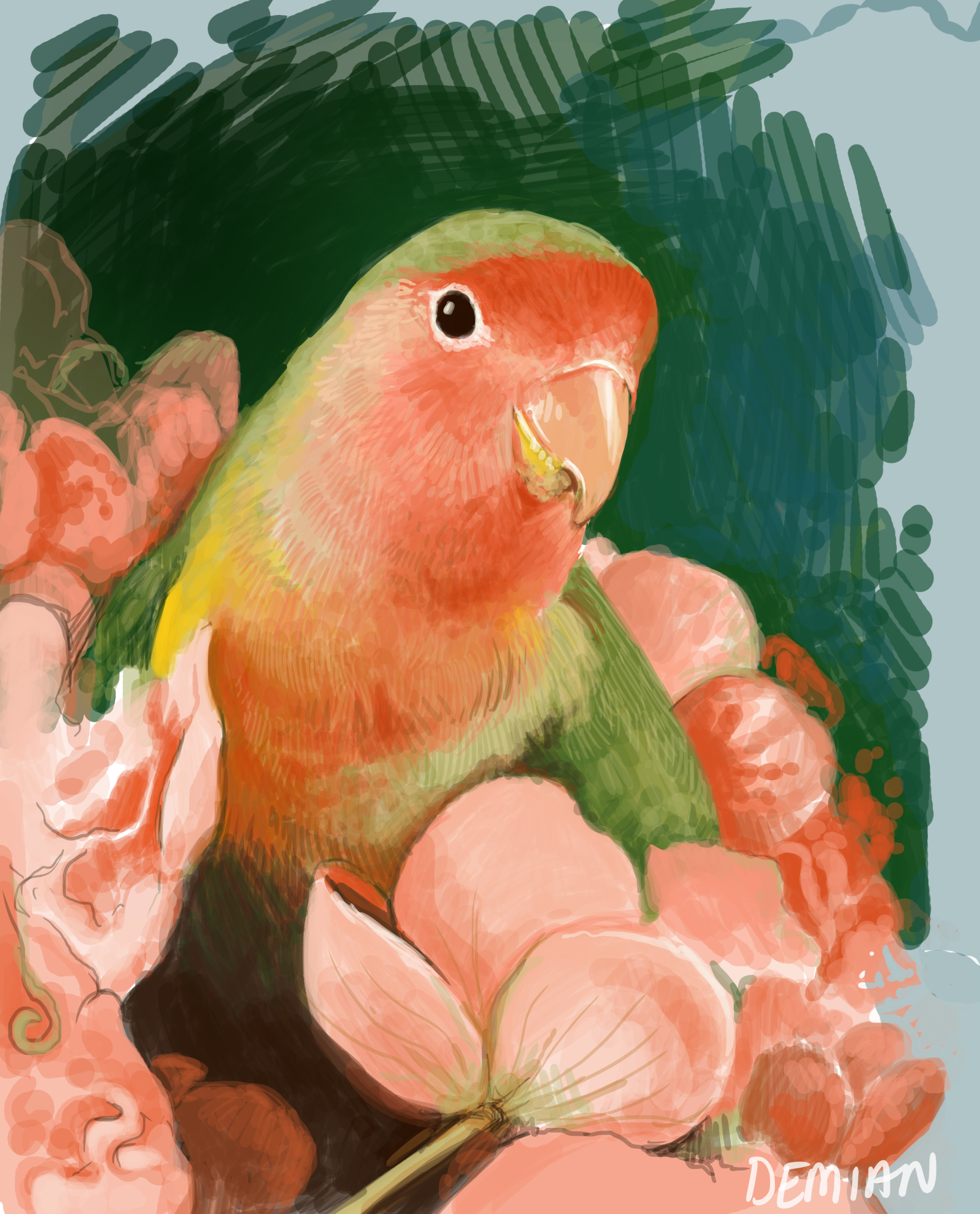Lovebird