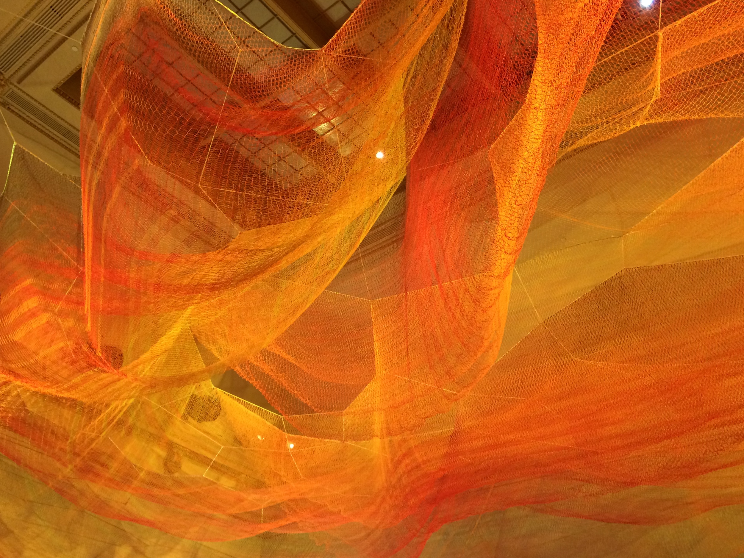  Janet Echleman, 1.8