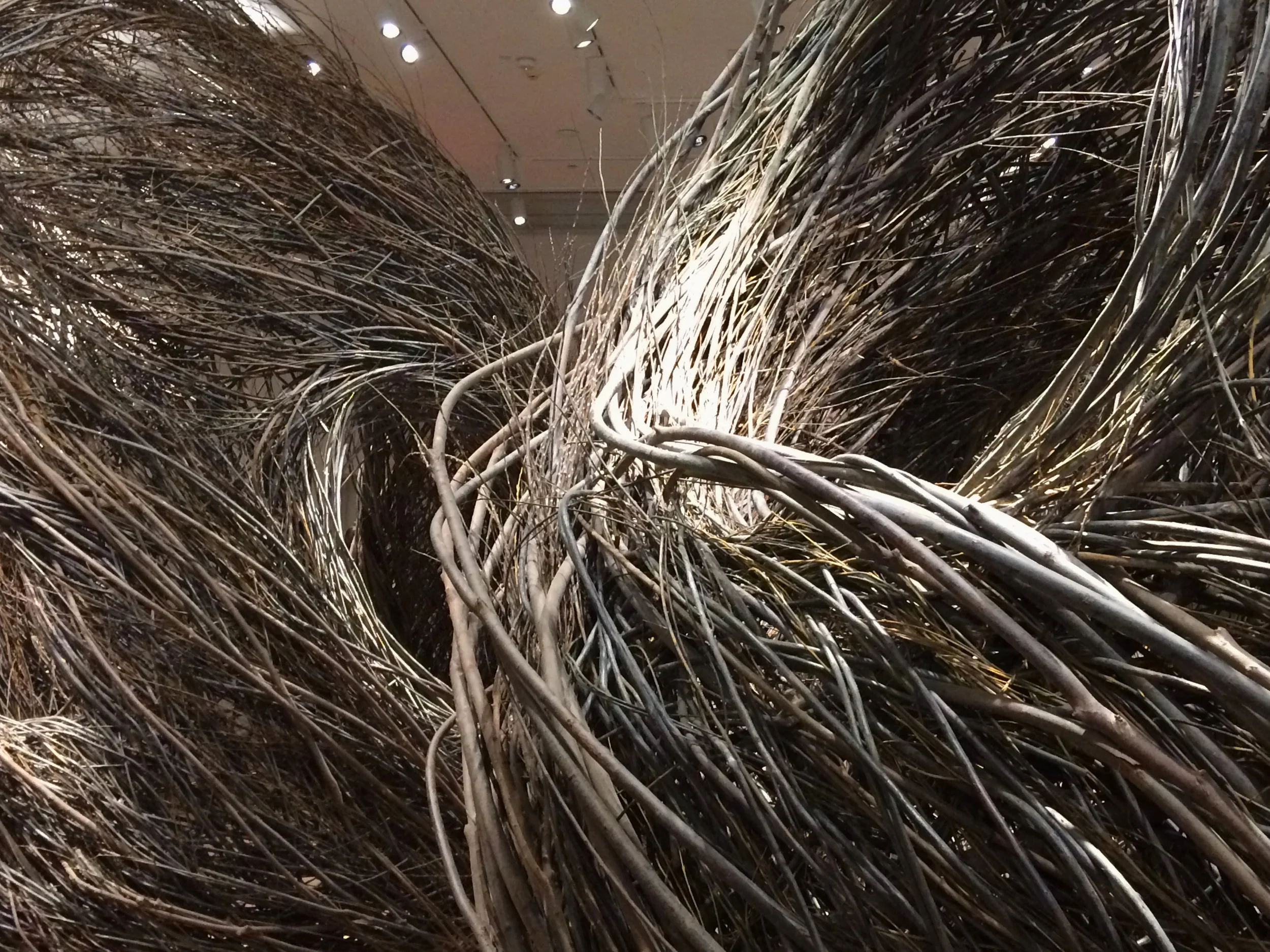 Patrick Dougherty, Shindig