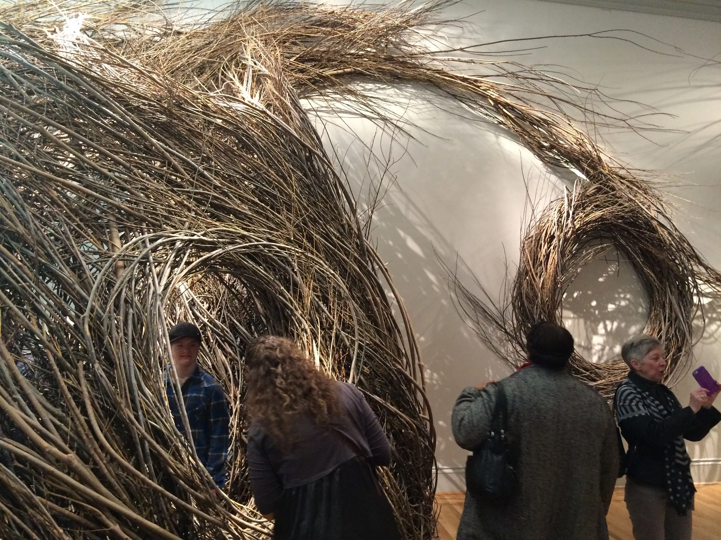 Patrick Dougherty, "Shindig"