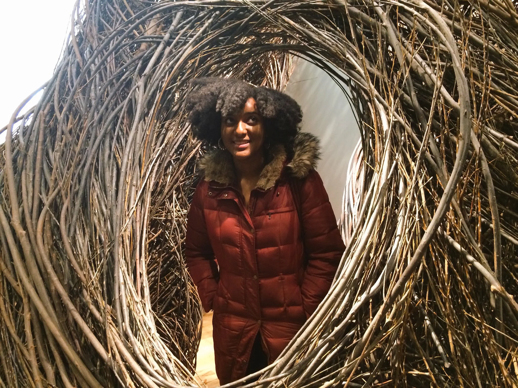 Patrick Dougherty, "Shindig" + Ahsante