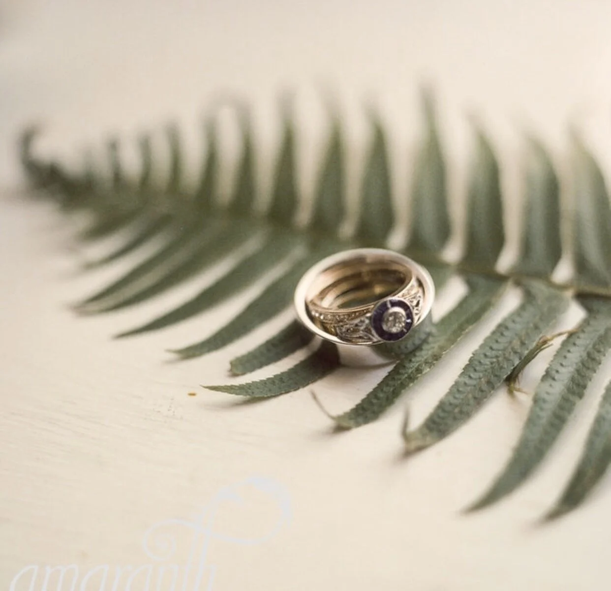 Tent Wedding at Lakewood estate | Westchester, NY