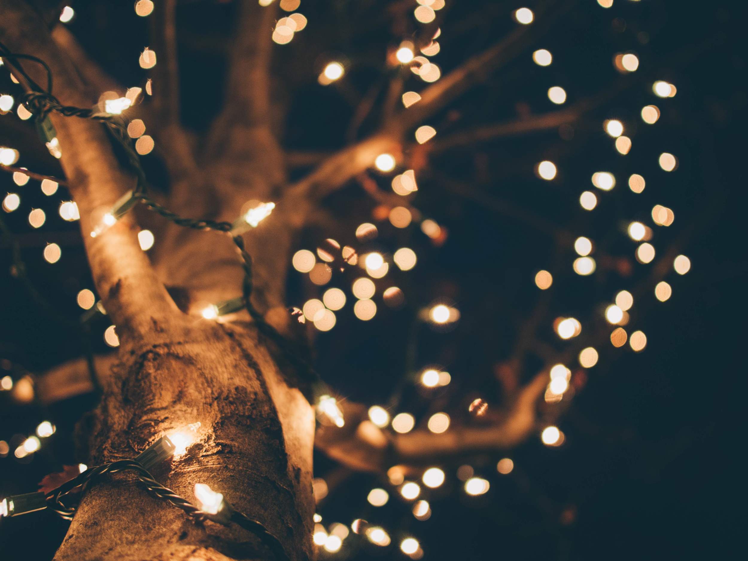 Tree Lights2.jpg