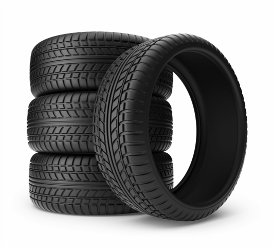 Rubber 1 - biota.id.png