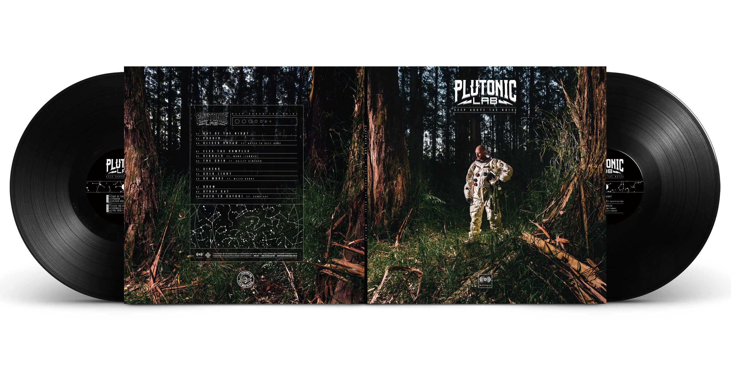 Vinyl-Gatefold-Outer-MockUp.jpg