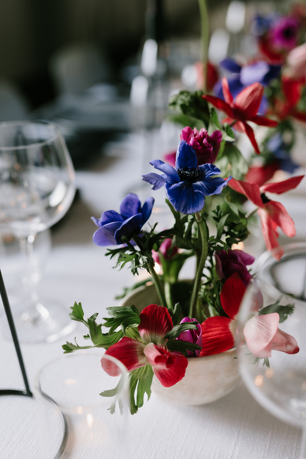 Anemone-23.jpg