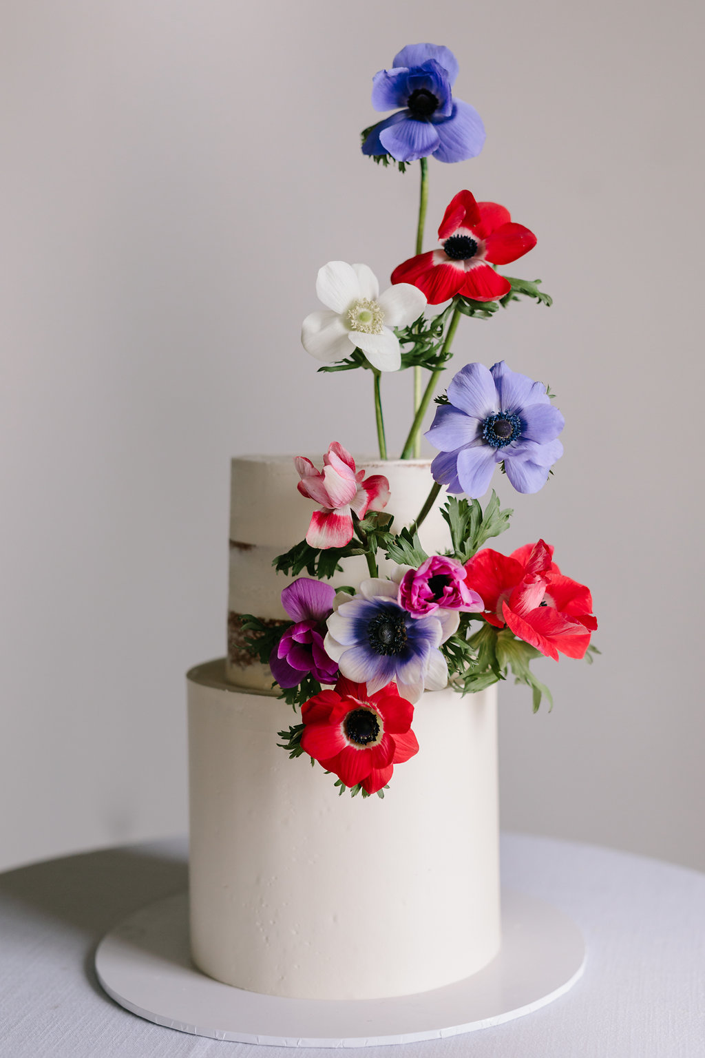 Anemone-165.jpg