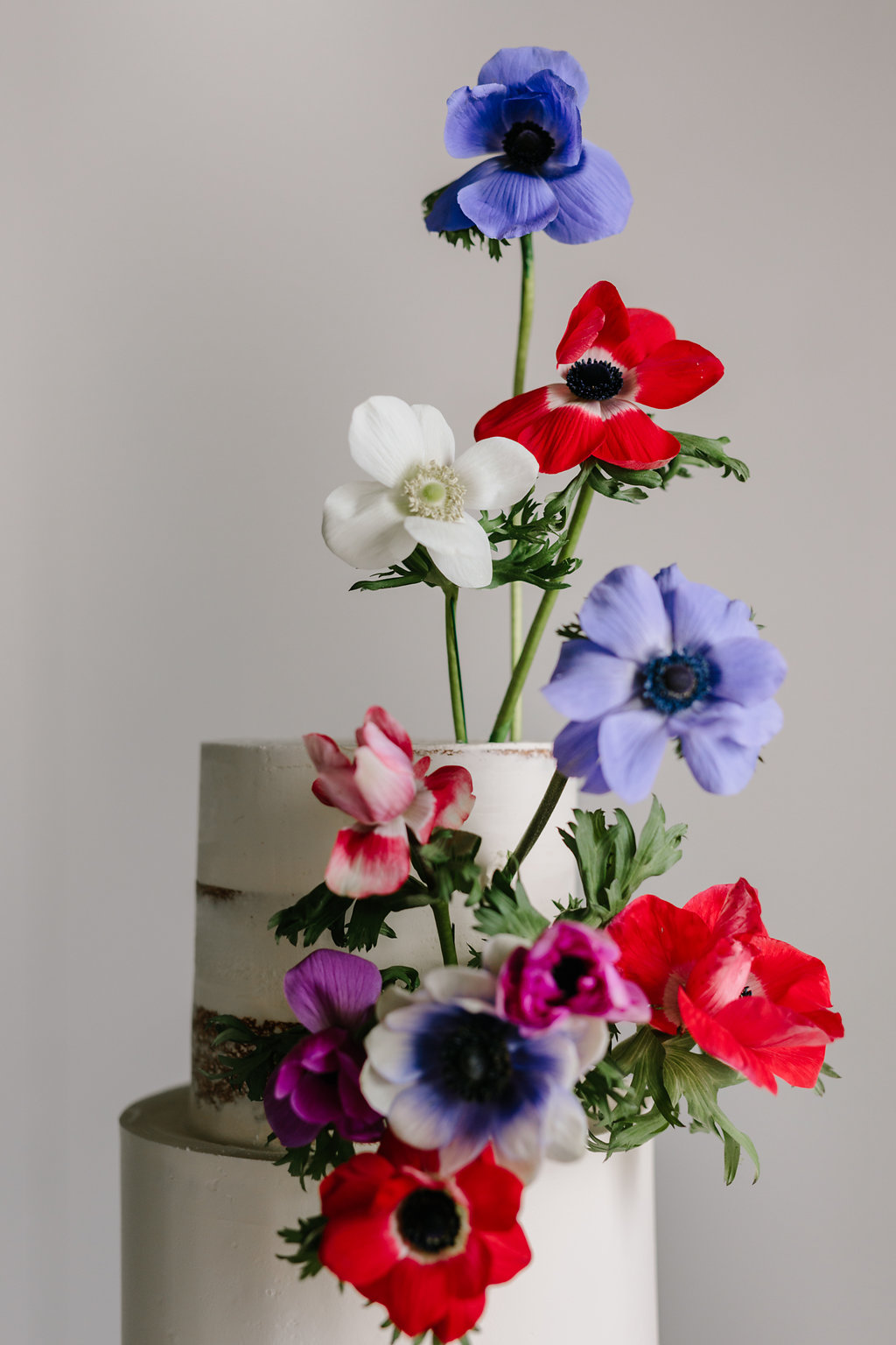 Anemone-171.jpg