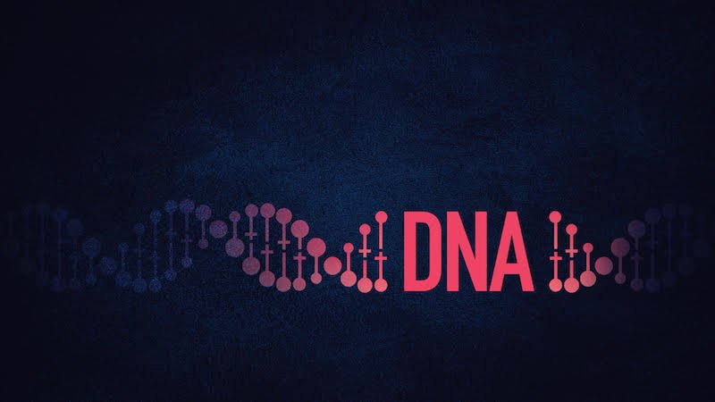 DNA.jpeg