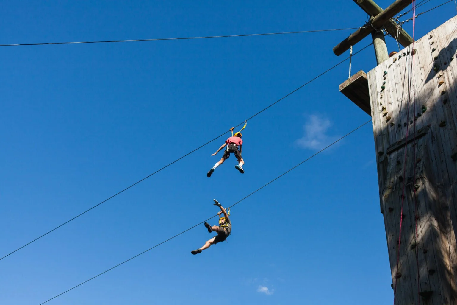 zipline 3.jpg