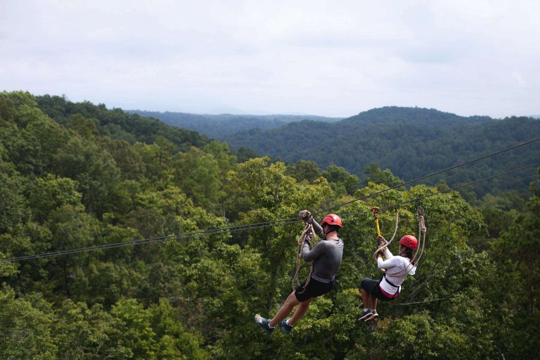 zipline 1.jpg