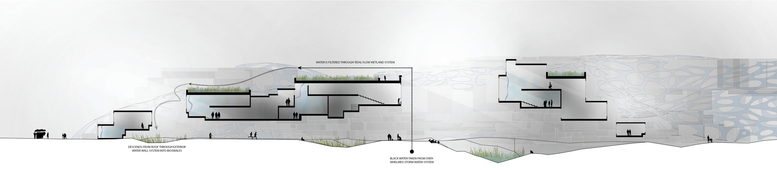 site section-01.png
