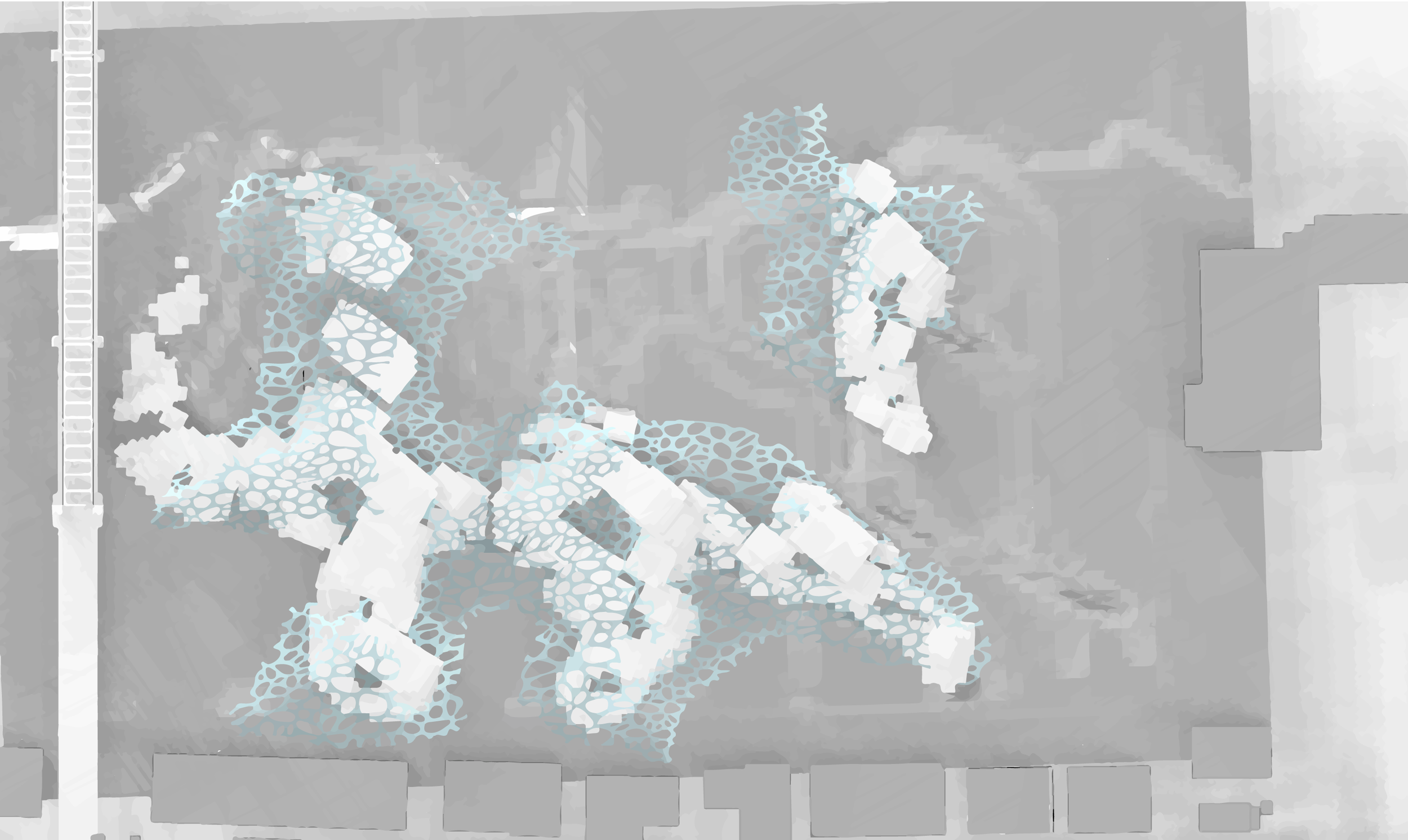 summer shadows-01.png