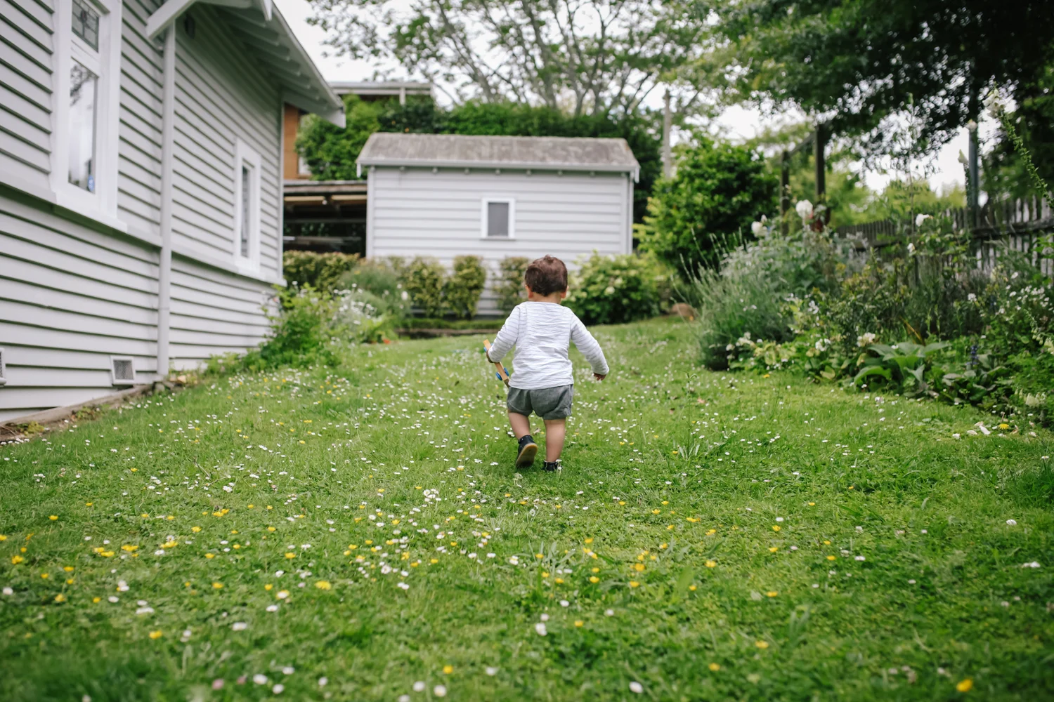 Michelle Frances Photography - Family Storytelling Photographer in Auckland, New Zealand