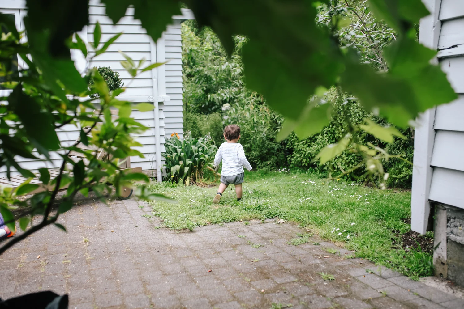 Michelle Frances Photography - Family Storytelling Photographer in Auckland, New Zealand