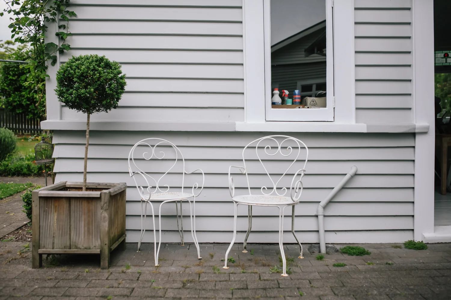 Michelle Frances Photography - Family Storytelling Photographer in Auckland, New Zealand